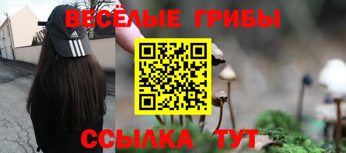 Галлюциногенные грибы MAGIC MUSHROOMS  Вход с VPN  Ирбит 